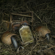 Illustration for article titled Photos of the abandoned antique cars nature has reclaimed